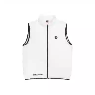 Aape Vest