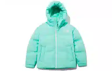 THE NORTH FACE 1996 Nuptse eco Logo