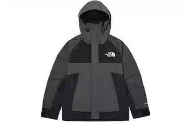 The North Face Logo Softshell Hoodie