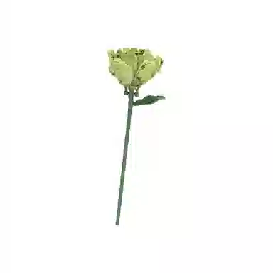 T 20pcs T-26317