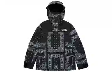 The North Face Novelty Gtx Mountain Jacket 1990 Black