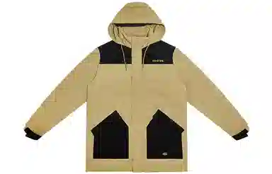 Dickies Jacket Khaki