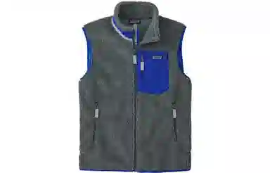 patagonia Classic Retro-X