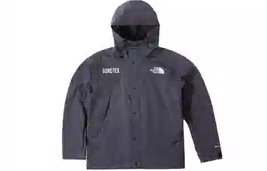 THE NORTH FACE THE Urban Exploration Back in Blue Logo