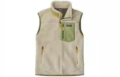 patagonia Classic Retro-X