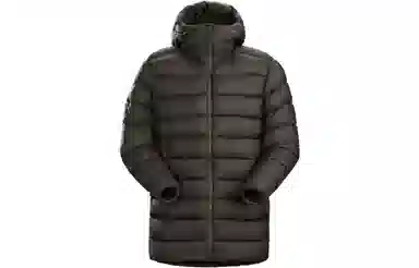 Arcteryx Piedmont Coat