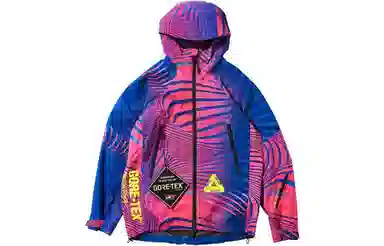 PALACE Gore-Tex Vortex Paclite Jacket Pink