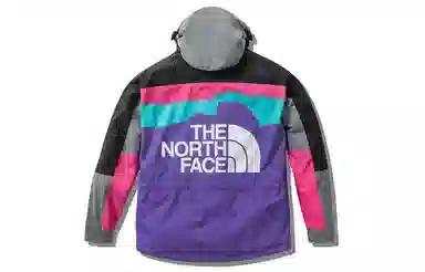 The North Face 1994 Retro Logo Softshell Jacket