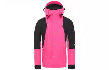 The North Face 1994 Retro Mountain Futurelight