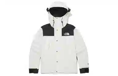 THE NORTH FACE Novelty Gtx Mountain Jacket