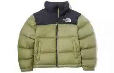 The North Face 1996 Retro Nuptse Down Jacket Mint Green