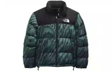 The North Face 1996 Retro Nuptse