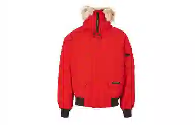 Canada Goose Chilliwack