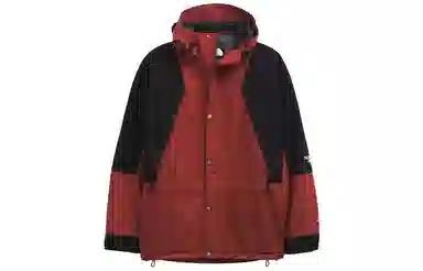 THE NORTH FACE 1994 Retro Mountain Light Futurelight Jacket