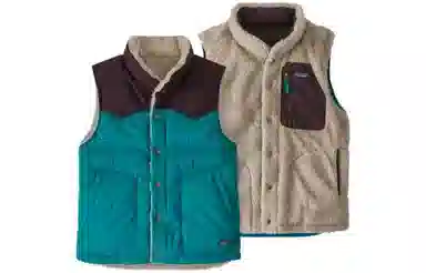 patagonia Reversible Bivy Down Vest