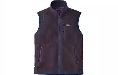 Patagonia Retro Fleece Vest