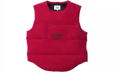 Supreme x WTAPS FW21 Tactical Down Vest