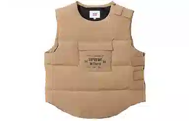 Supreme x WTAPS FW21 Tactical Down Vest