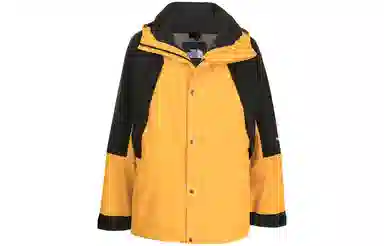 THE NORTH FACE Retro Mountain Light Futurelight