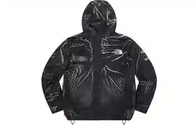 Supreme x The North Face Printed Mountain Pant