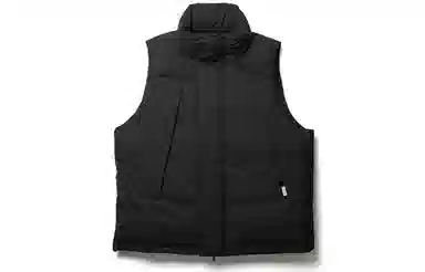 DAIWA PIER39 Gore-tex Infinium Field Down Vest