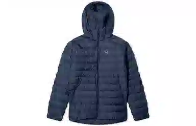 Arcteryx Cerium LT