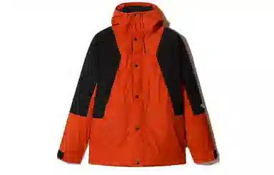 THE NORTH FACE Mountain Light Dryvent Insulated