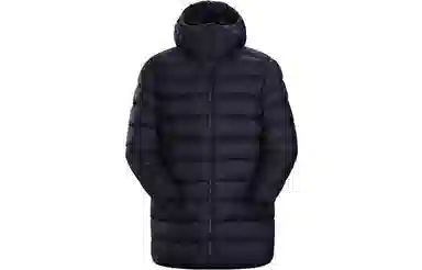 Arcteryx Piedmont Coat