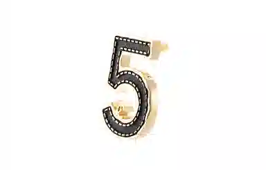 CHANEL 23S Classic Letter No.5 Earrings Black