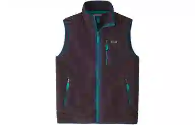 Patagonia Retro Fleece Vest