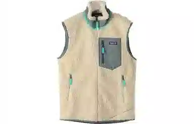 patagonia Classic Retro-X