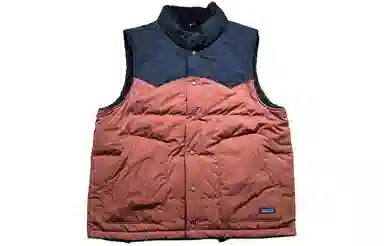 patagonia Reversible Bivy Down Vest