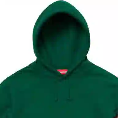 Supreme FW19 Week 3 Hooded Sweatshirt