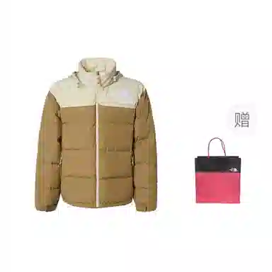 THE NORTH FACE 1992 logo