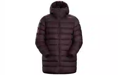 Arcteryx Piedmont Coat