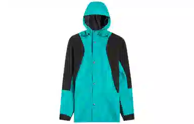 THE NORTH FACE 1994 Retro Mountain Futurelight