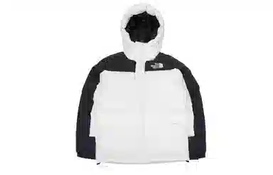 THE NORTH FACE ICON550