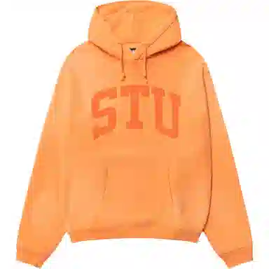 Stussy SS25 STU APPLIQUE HOODIE Logo