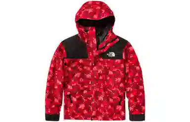 The North Face ICON 1986