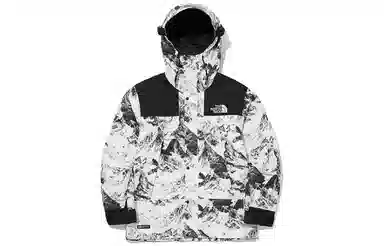 The North Face Gore-Tex 1990 Series