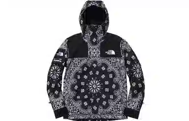 Supreme x The North Face