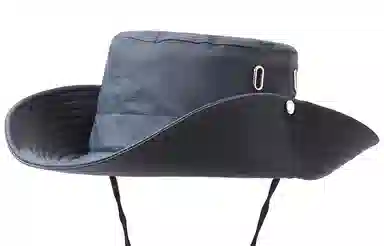 BSELEON