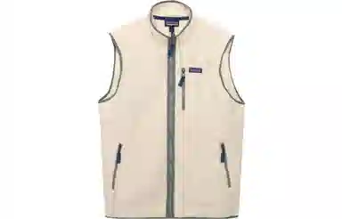 Patagonia Retro Fleece Vest