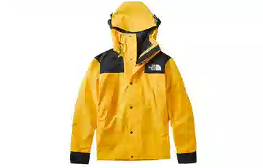 THE NORTH FACE 1990 Mountain Jacket
