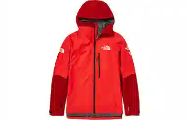 THE NORTH FACE Summit Series Logo