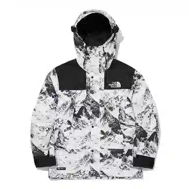 The North Face Gore-Tex White Jacket