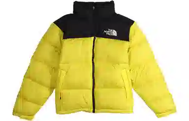 The North Face 1996 Series