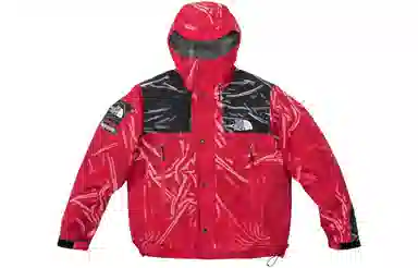 Supreme x The North Face Printed Mountain Pant