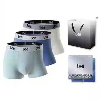 Lee 3