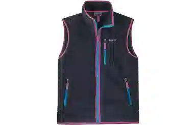 Patagonia Retro Fleece Vest